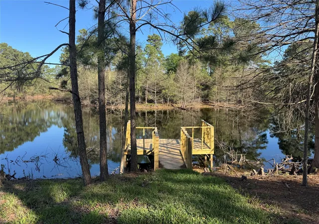 1st image of 18234 Atkinson Ln, Conroe, TX 77384 | MLS# 65755941