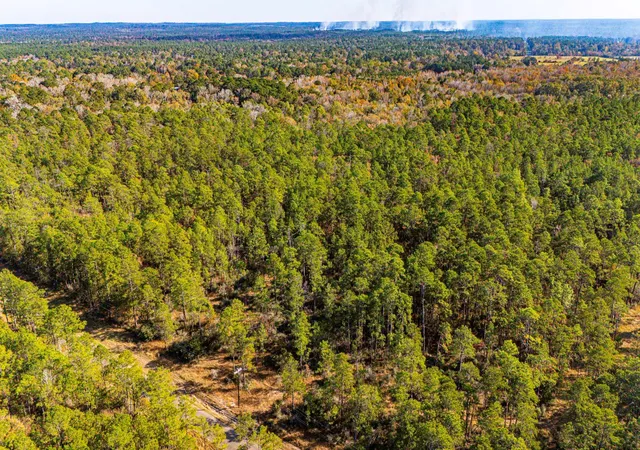 2nd image of 036 Sportsman Retreat Rd, Onalaska, TX 77360 | MLS# 47588179