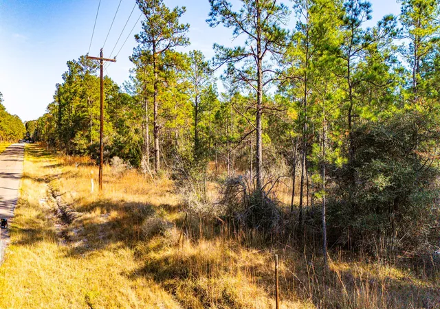 4th image of 036 Sportsman Retreat Rd, Onalaska, TX 77360 | MLS# 47588179