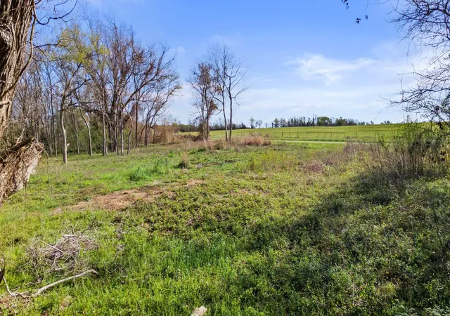 Photo 3 of Land for sale at 3979 Felder Rd, Washington, TX 77880 | MLS# 66458380 | Listing updated on 2026-06-08