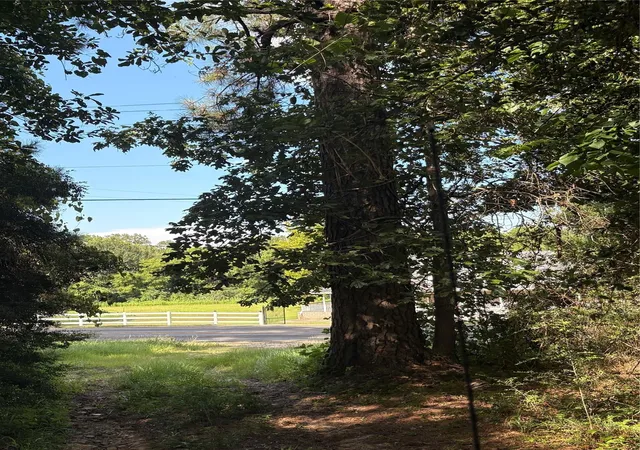 Photo 4 of Sale Pending at 4977 Fm 1008, Dayton, TX 77535 | MLS# 64566493 | Listing updated on 2026-09-26