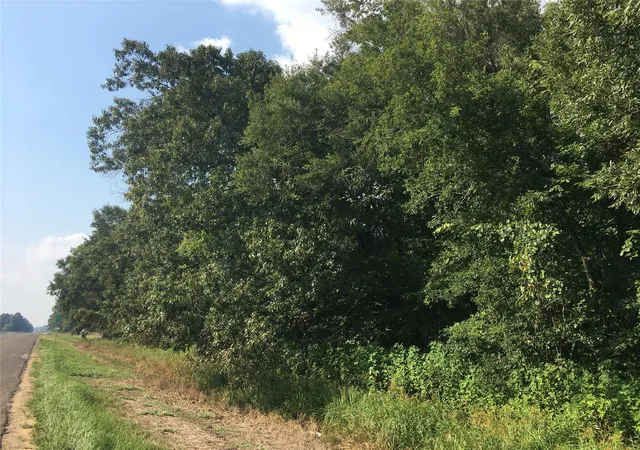 1st image of Tbd Hwy 321, Cleveland, TX 77327 | MLS# 4798121