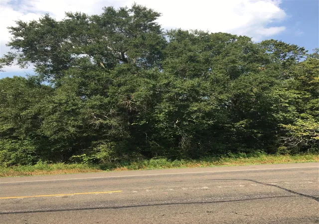 5th image of Tbd Hwy 321, Cleveland, TX 77327 | MLS# 4798121