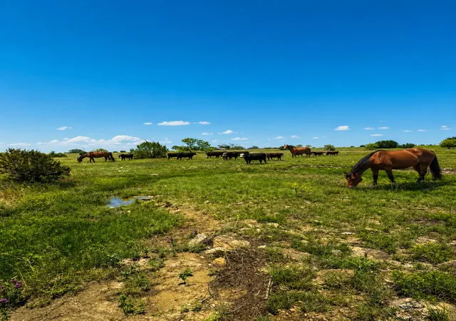 Photo 2 of Land for sale at Lot 24 Private Rd, Hamilton, TX 76531 | MLS# 7845854 | Listing updated on 2026-05-19