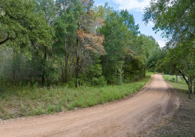 Photo 1 of Land for sale at 0000 Dungens Mills Rd, Columbus, TX 78934 | MLS# 78774713 | Listing updated on 2026-06-01