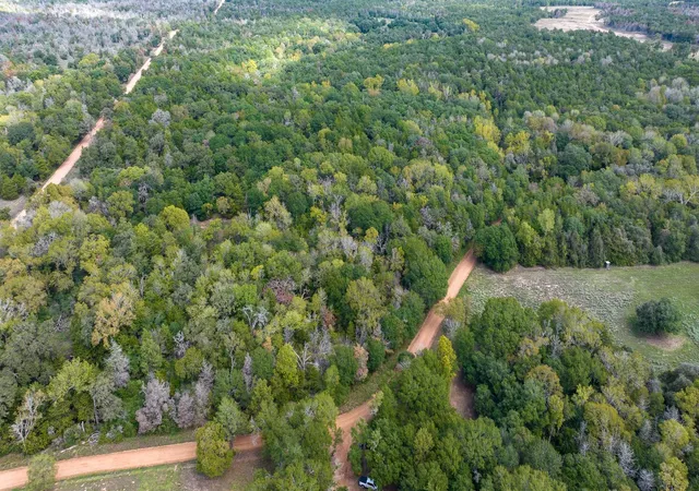 Photo 2 of Land for sale at 0000 Dungens Mills Rd, Columbus, TX 78934 | MLS# 78774713 | Listing updated on 2026-06-01