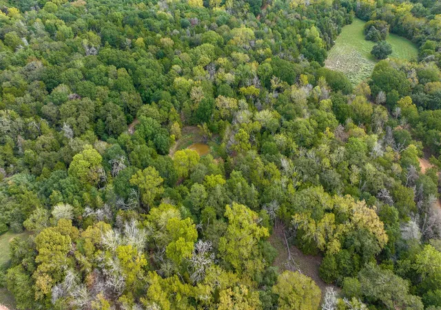 Photo 3 of Land for sale at 0000 Dungens Mills Rd, Columbus, TX 78934 | MLS# 78774713 | Listing updated on 2026-06-01