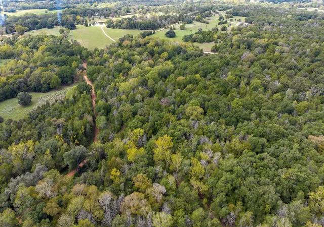 Photo 3 of Land for sale at 0000 Dungens Mills Rd, Columbus, TX 78934 | MLS# 78774713 | Listing updated on 2026-06-01