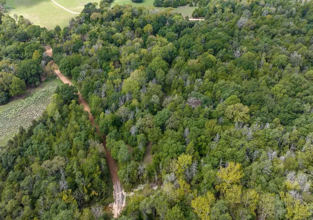 Photo 4 of Land for sale at 0000 Dungens Mills Rd, Columbus, TX 78934 | MLS# 78774713 | Listing updated on 2026-06-01