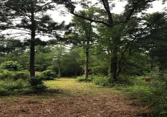 Photo 1 of Land for sale at 26150 Grand Pines Rd, Magnolia, TX 77355 | MLS# 68577653 | Listing updated on 2026-07-11