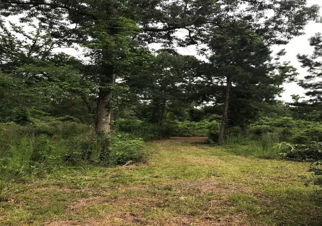 Photo 3 of Land for sale at 26150 Grand Pines Rd, Magnolia, TX 77355 | MLS# 68577653 | Listing updated on 2026-07-11