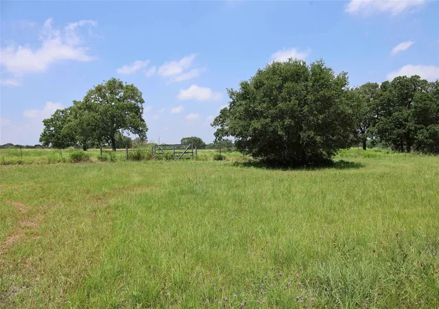 Homes for sale in Schulenburg, TX | Tbd Hranicky Rd, Schulenburg, TX 78956 | MLS# 74122322