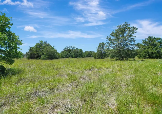 Homes for sale in Madisonville, TX | 7629 Oxford Cemetery Rd, Madisonville, TX 77864 | MLS# 9946002