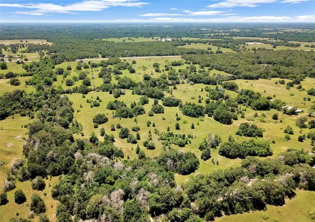 Homes for sale in Madisonville, TX | 7629 Oxford Cemetery Rd, Madisonville, TX 77864 | MLS# 9946002