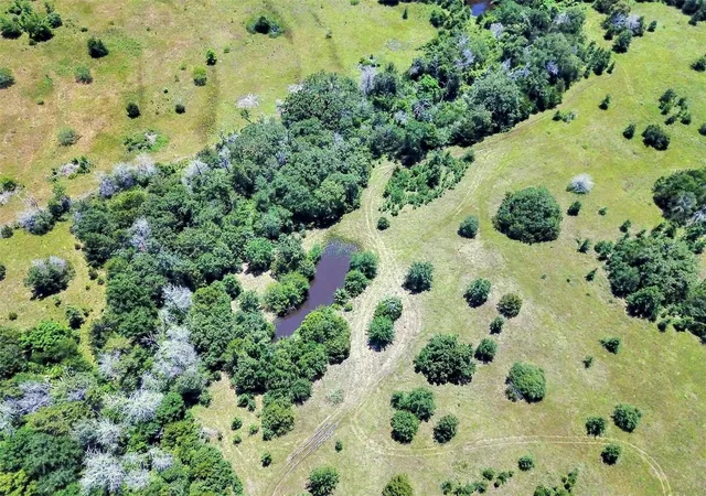 Homes for sale in Madisonville, TX | 7629 Oxford Cemetery Rd, Madisonville, TX 77864 | MLS# 9946002