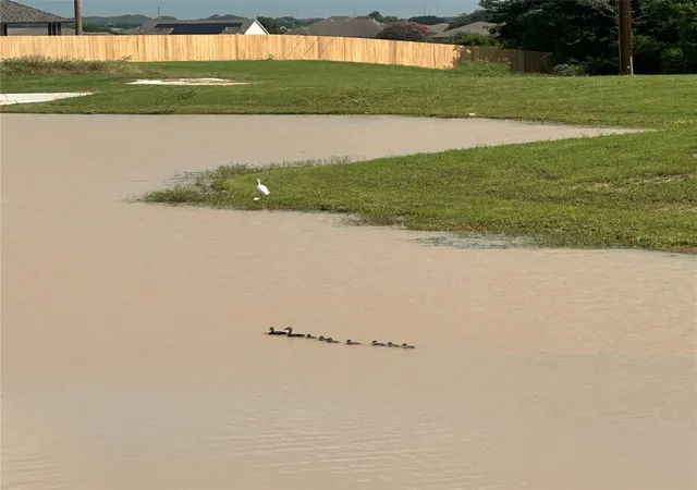 11th image of 491 Hunters Crossing, Sealy, TX 77474 | MLS# 29718116