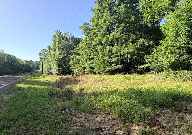 Photo 1 of Land for sale at 3008 E Fm 942, Leggett, TX 77350 | MLS# 23817541 | Listing updated on 2026-09-10