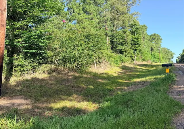 Photo 3 of Land for sale at 3008 E Fm 942, Leggett, TX 77350 | MLS# 23817541 | Listing updated on 2026-09-10