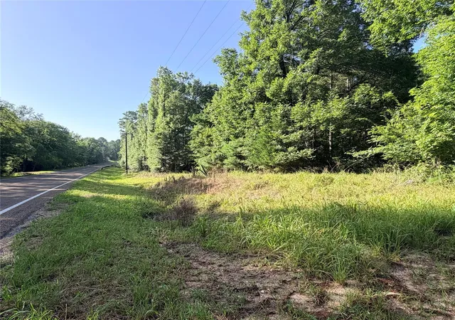 Photo 3 of Land for sale at 3008 E Fm 942, Leggett, TX 77350 | MLS# 23817541 | Listing updated on 2026-09-10