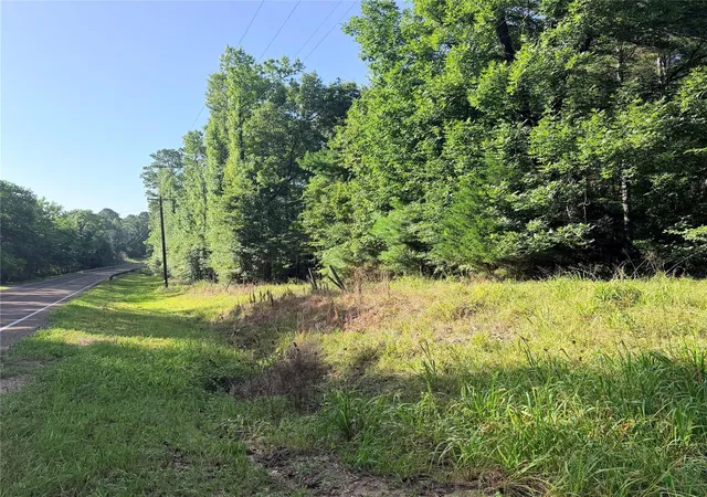 Photo 4 of Land for sale at 3008 E Fm 942, Leggett, TX 77350 | MLS# 23817541 | Listing updated on 2026-09-10