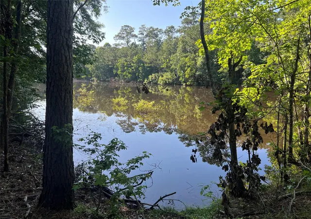Homes for sale in Silsbee, TX | 0 Cravens Camp Rd Rd, Silsbee, TX 77656 | MLS# 68352963