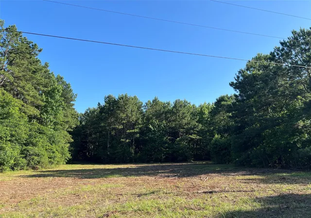 5th image of 0 Cravens Camp Rd Rd, Silsbee, TX 77656 | MLS# 68352963