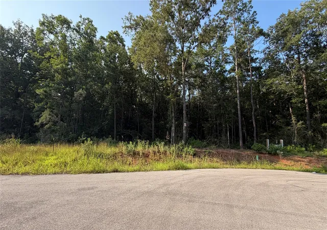 Photo 1 of Land for sale at 230 County Rd 6311, Dayton, TX 77535 | MLS# 94502337 | Listing updated on 2026-06-22