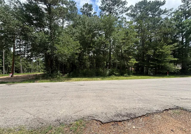 Photo 1 of Sale Pending at 0000 Roman Forest Blvd, New Caney, TX 77537 | MLS# 21791001 | Listing updated on 2026-10-06