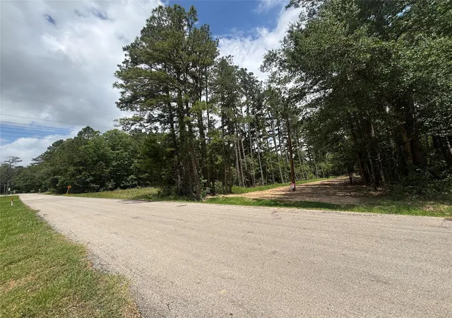 Photo 2 of Sale Pending at 0000 Roman Forest Blvd, New Caney, TX 77537 | MLS# 21791001 | Listing updated on 2026-10-06