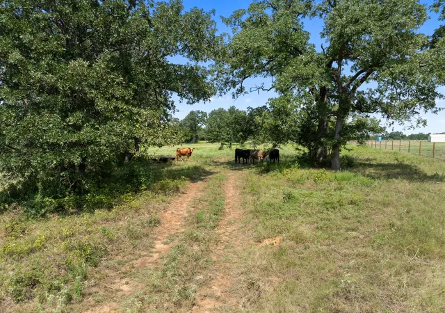 2nd image of Tbd Cazey Loop, Franklin, TX 77856 | MLS# 19921489