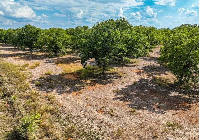 Photo 3 of Land for sale at Tr 2 Fm 1784, Pleasanton, TX 78064 | MLS# 37952401 | Listing updated on 2026-08-25