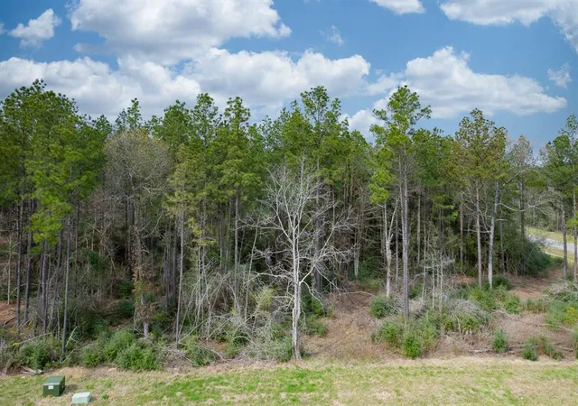 Photo 2 of Land for sale at 10521 Chapter Dr, Willis, TX 77378 | MLS# 46086475 | Listing updated on 2026-05-31