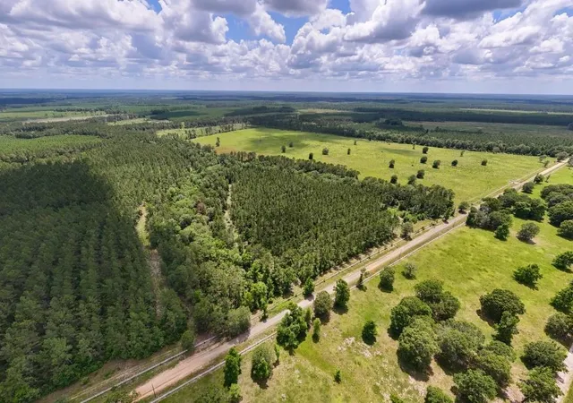 3rd image of Xxx County Road 1450, Warren, TX 77664 | MLS# 93022909