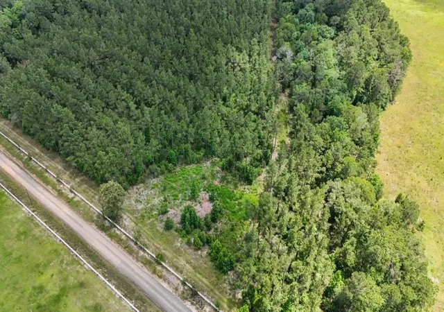 4th image of Xxx County Road 1450, Warren, TX 77664 | MLS# 93022909
