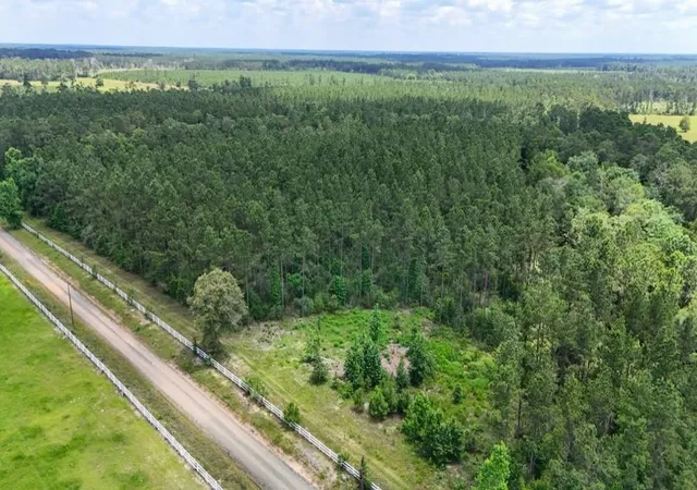 5th image of Xxx County Road 1450, Warren, TX 77664 | MLS# 93022909