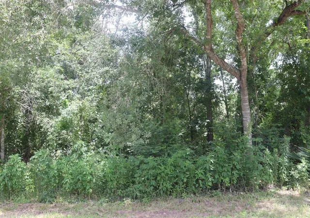 Photo 3 of Land for sale at 17138 Hl Patton Blvd, Splendora, TX 77372 | MLS# 3305163 | Listing updated on 2025-12-18