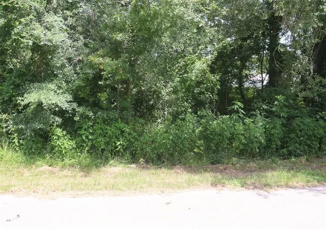 Photo 4 of Land for sale at 17138 Hl Patton Blvd, Splendora, TX 77372 | MLS# 3305163 | Listing updated on 2025-12-18