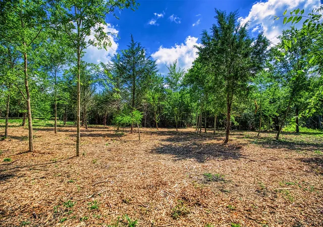 4th image of Lots 8 & 9 Wonder Hill Rd, Chappell Hill, TX 77426 | MLS# 20613968