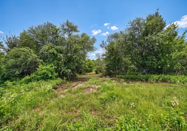 Photo 4 of Land for sale at 20525 Pickens Rd, Washington, TX 77880 | MLS# 32192814 | Listing updated on 2026-08-03