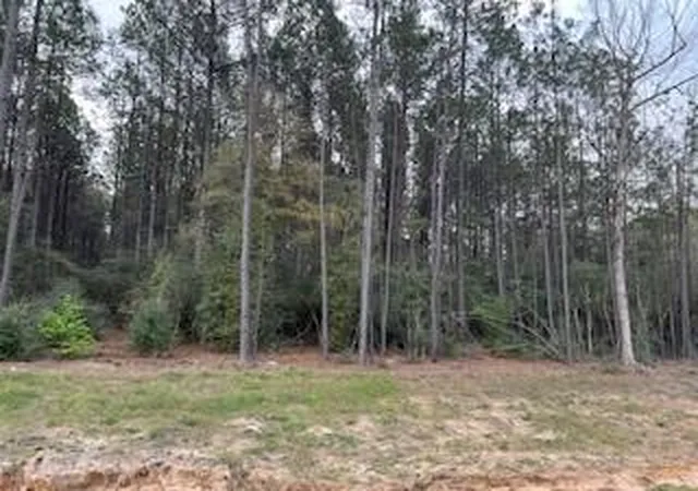 Photo 19 of Land for sale at 15871 Ridge Oak Rd, Willis, TX 77378 | MLS# 38736211 | Listing updated on 2026-09-13
