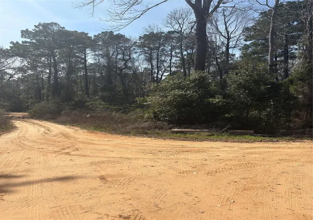 Photo 2 of Land for sale at Tbdd Margie Dr, Livingston, TX 77351 | MLS# 28871264 | Listing updated on 2026-08-10