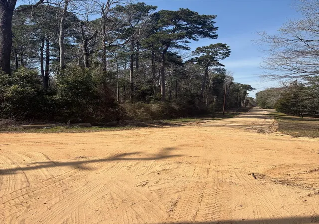 Photo 3 of Land for sale at Tbdd Margie Dr, Livingston, TX 77351 | MLS# 28871264 | Listing updated on 2026-08-10