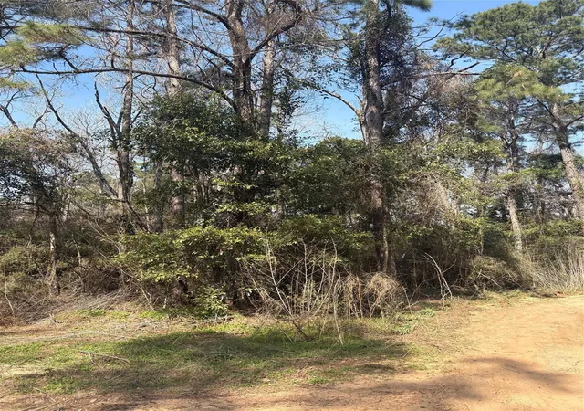 Photo 3 of Land for sale at Tbdd Margie Dr, Livingston, TX 77351 | MLS# 28871264 | Listing updated on 2026-08-10