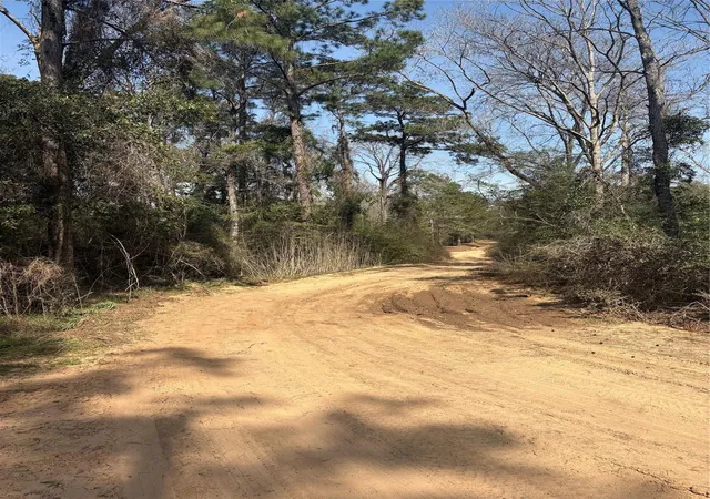 Photo 4 of Land for sale at Tbdd Margie Dr, Livingston, TX 77351 | MLS# 28871264 | Listing updated on 2026-08-10
