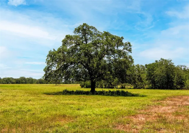 Photo 3 of Sale Pending at 6750 Three Mile Rd, Flatonia, TX 78941 | MLS# 80448743 | Listing updated on 2026-07-28