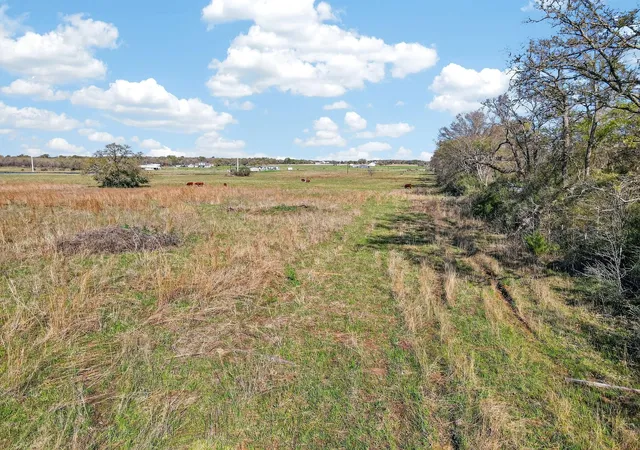 Photo 4 of Land for sale at 2534 Old Hickory Grv Rd, Franklin, TX 77856 | MLS# 97612356 | Listing updated on 2026-09-02
