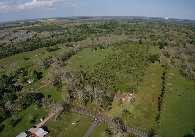 Photo 14 of Land for sale at 00 County Road 42, Brazoria, TX 77583 | MLS# 84500074 | Listing updated on 2026-03-23