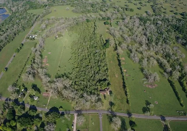Photo 1 of Land for sale at 00 County Road 42, Brazoria, TX 77583 | MLS# 84500074 | Listing updated on 2026-03-23