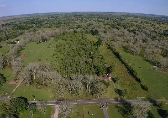 Photo 2 of Land for sale at 00 County Road 42, Brazoria, TX 77583 | MLS# 84500074 | Listing updated on 2026-03-23