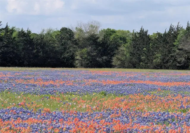 Photo 1 of Land for sale at 0010 Fm 2562 Rd, Anderson, TX 77830 | MLS# 96865263 | Listing updated on 2026-04-29